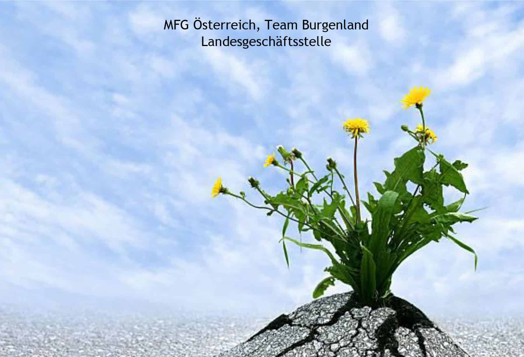 Vortrag-Resilienz