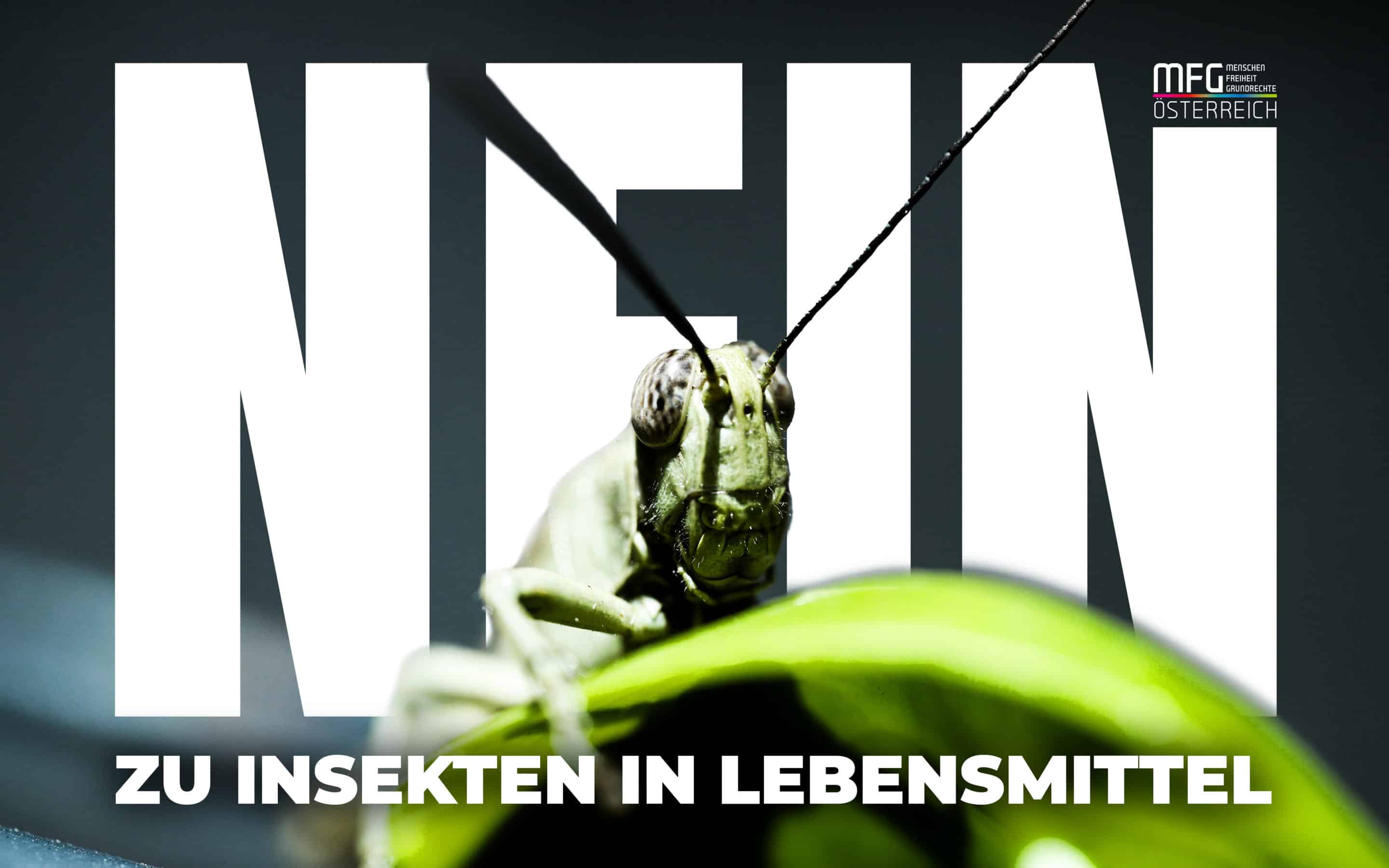 Es gibt keine Notwendigkeit für Insekten in unseren Lebensmitteln