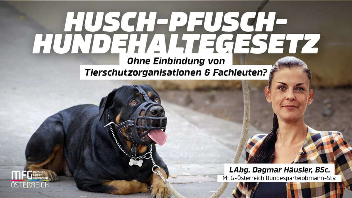 Tierschutz-Landesrat Lindner:  Vom wilden Hund gebissen?