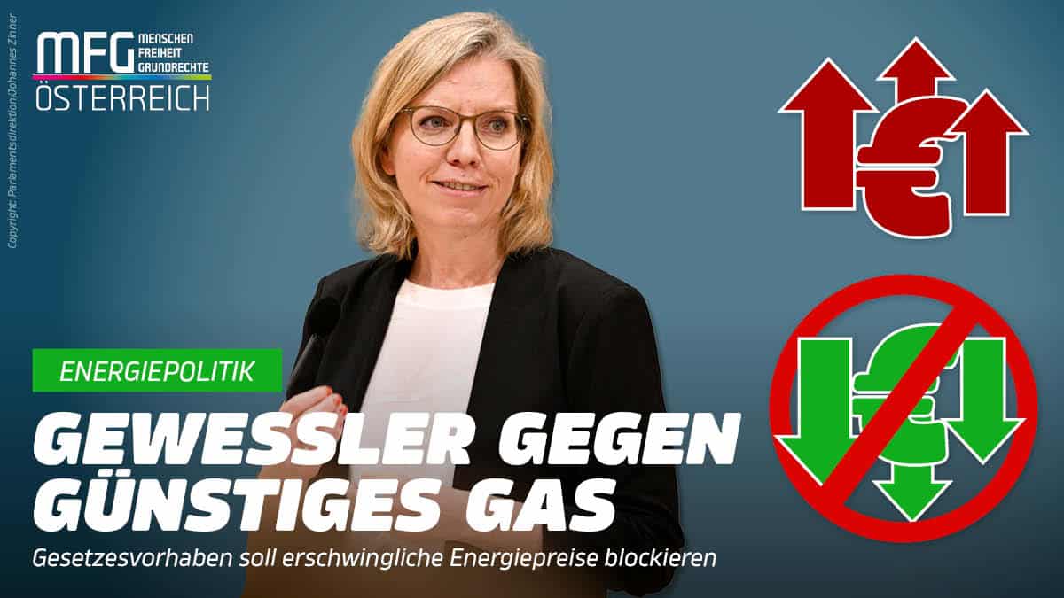 Ideologie-Ministerin will günstige Energie jetzt per Gesetz verbieten