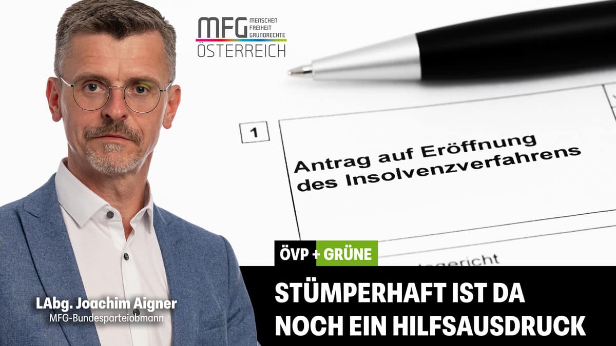 Größte Insolvenzwelle seit 15 Jahren ist von Schwarz-Grün zu 100% hausgemacht